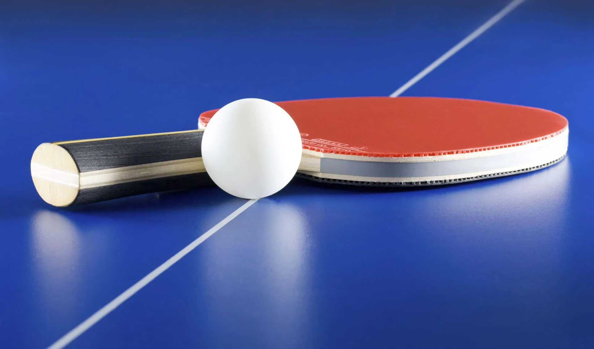 Ping Pong Table