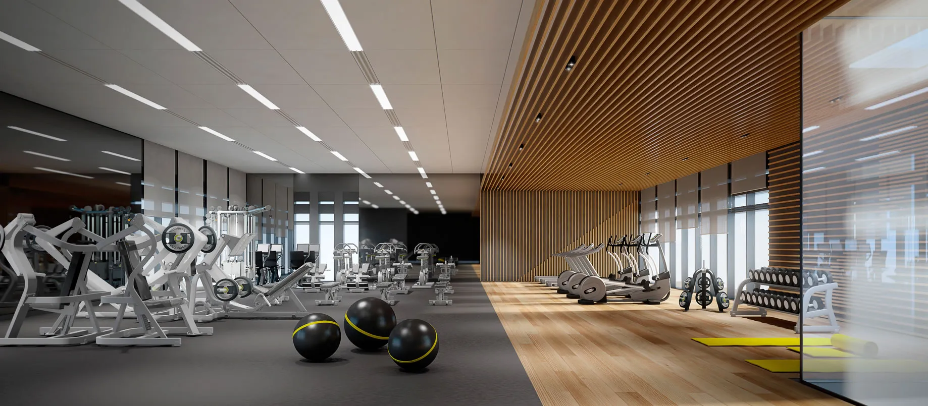 Indoor and Outdoor Gym