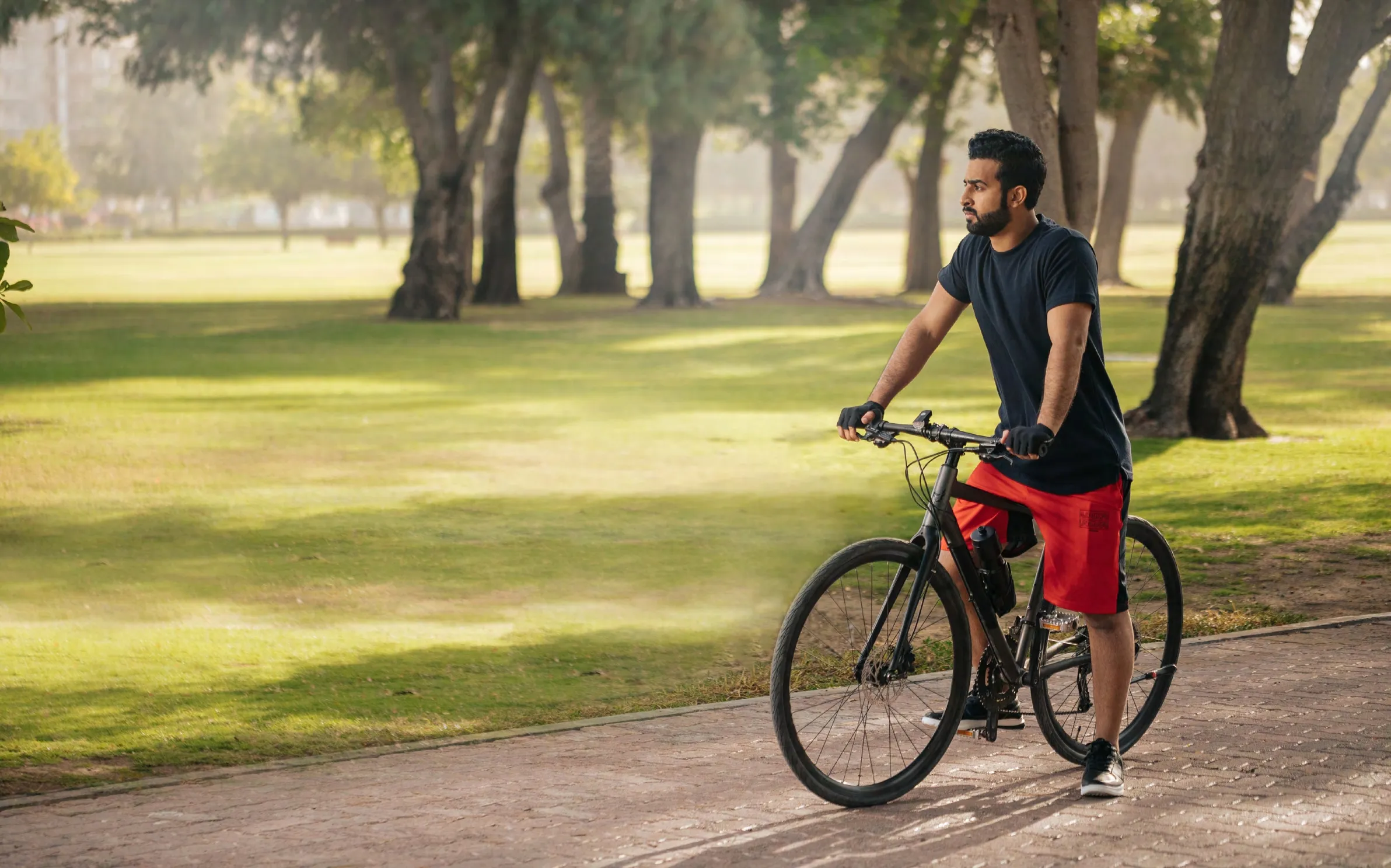Walking & Bike Paths