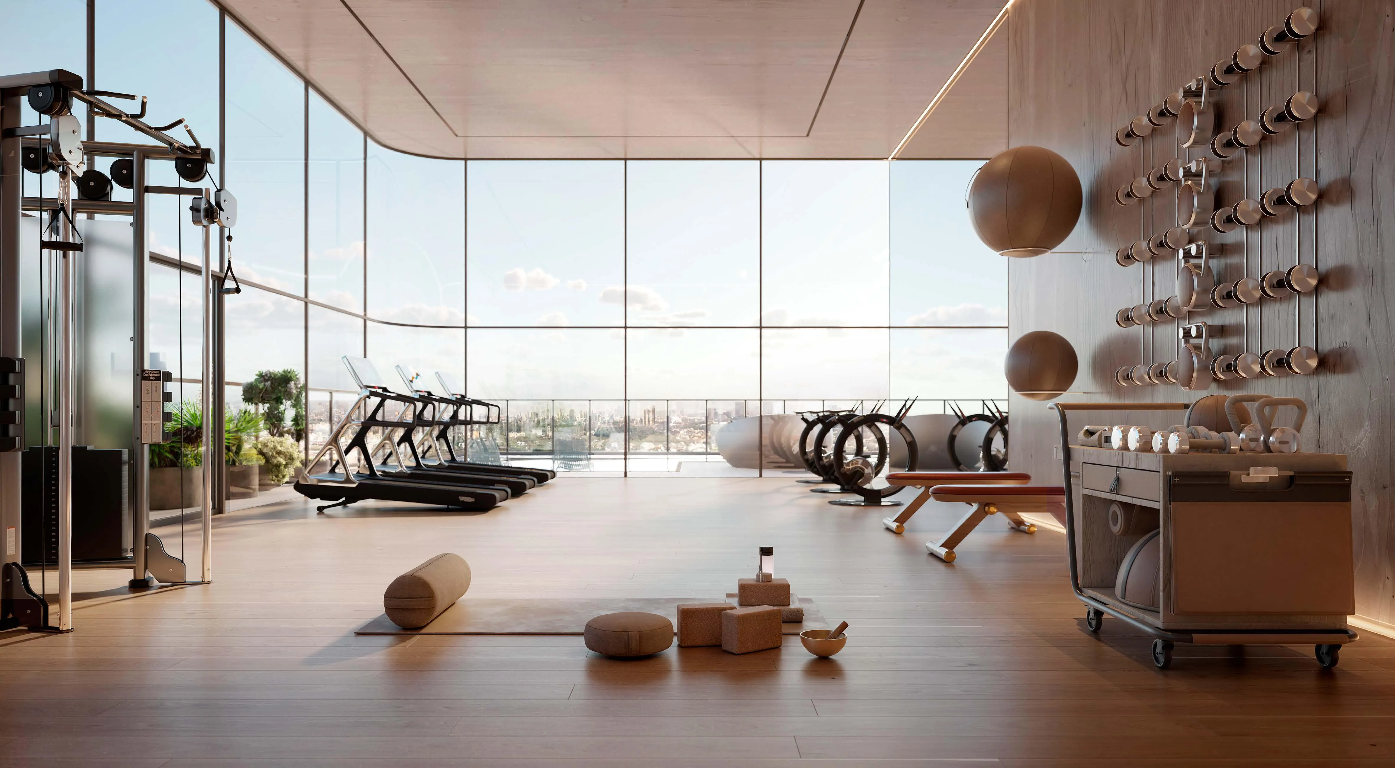 Dynamiqur Gym