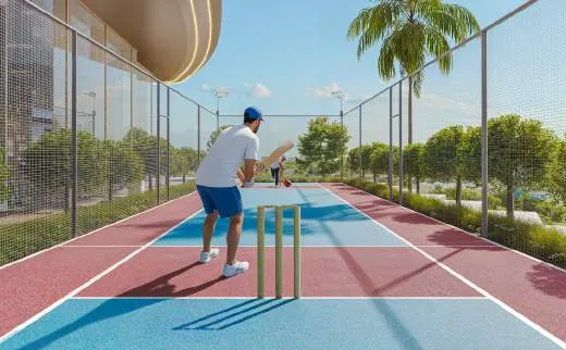 Cricket Pitch