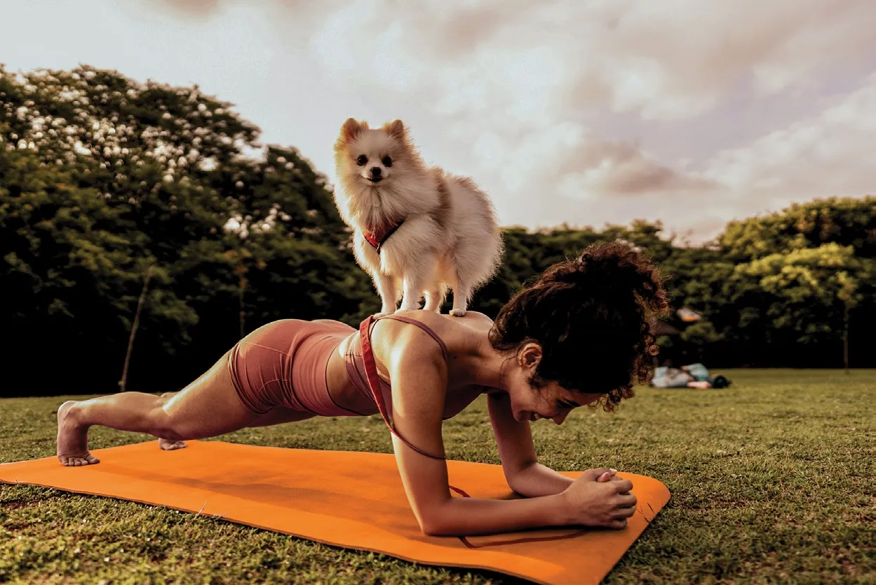 Yoga Area