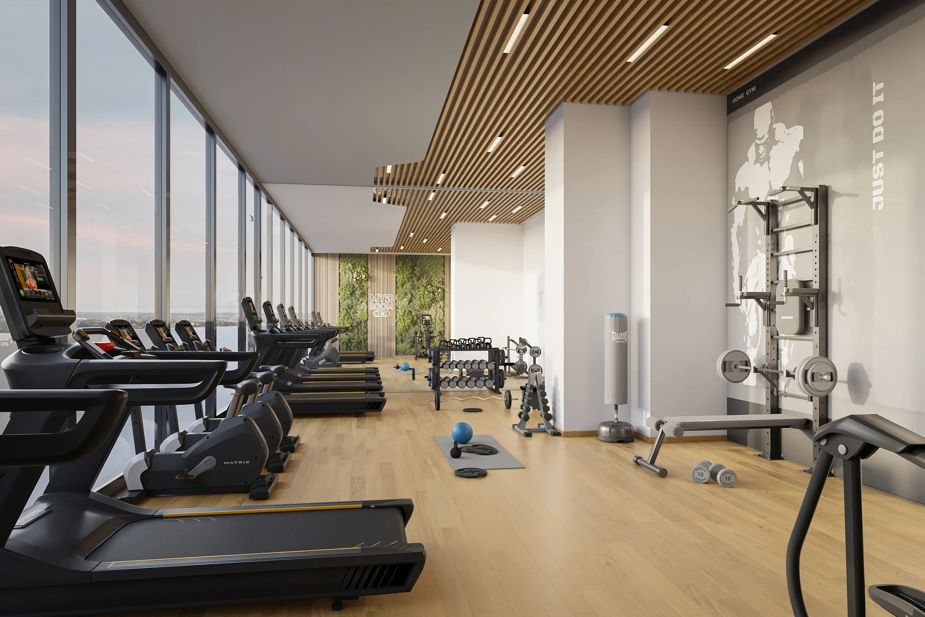 Gymnasium