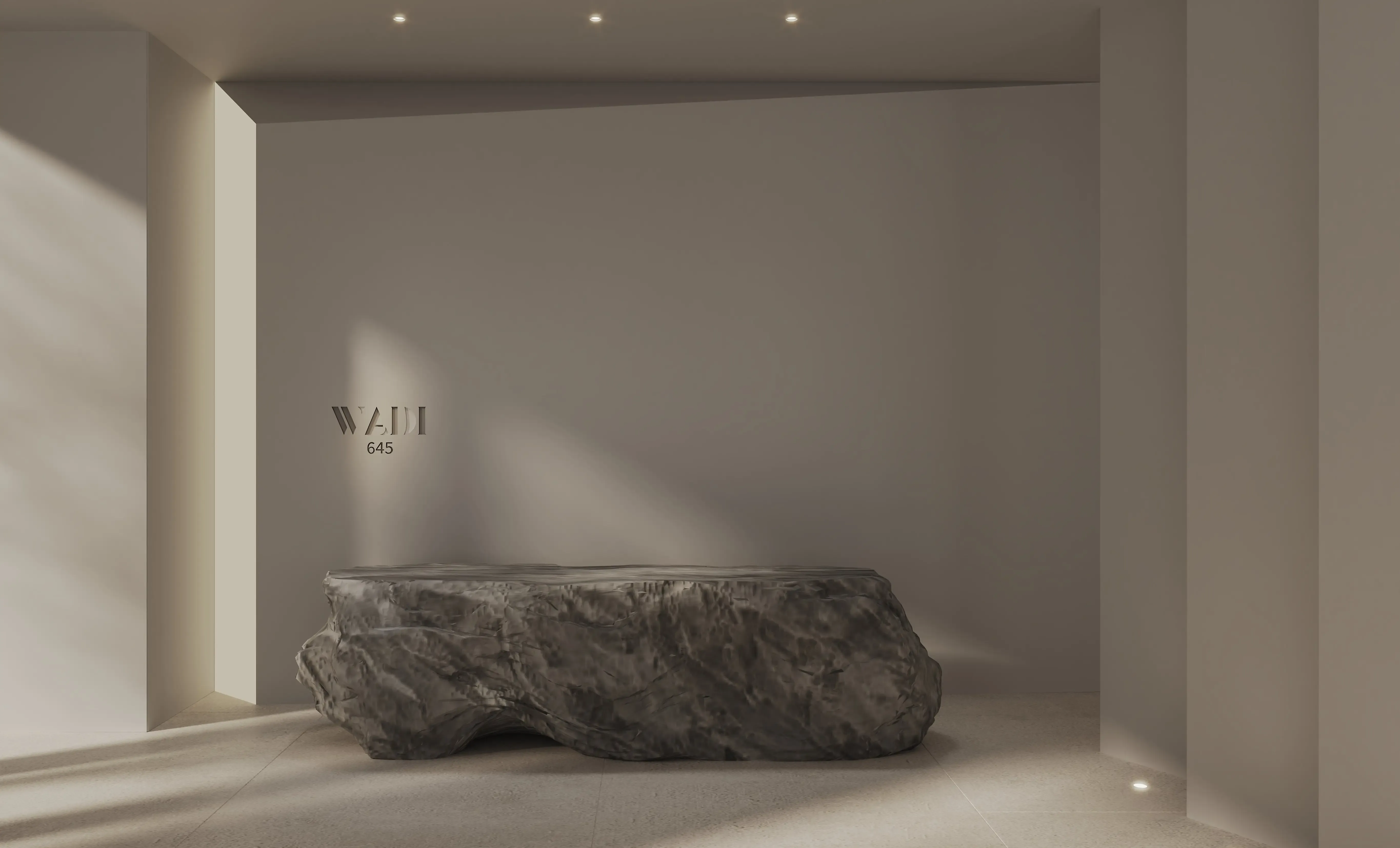 Wadi 645 preview image 2