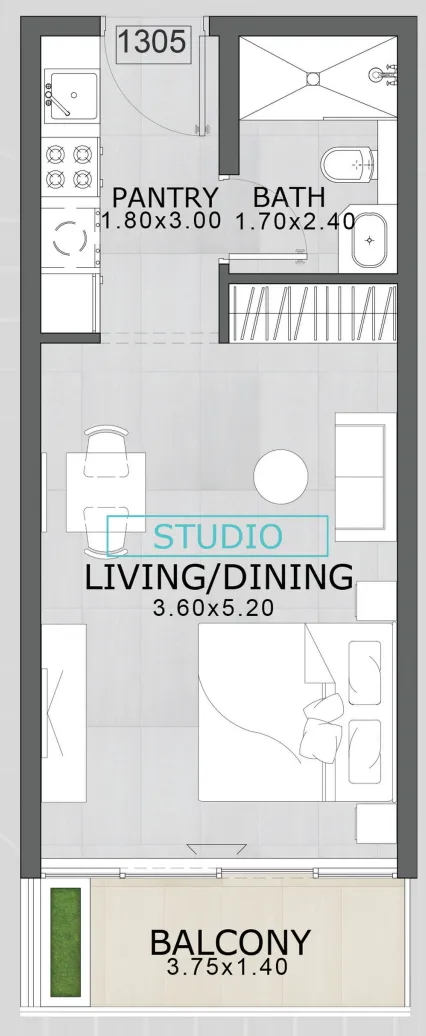 Floarea Skies — Studio floor plan