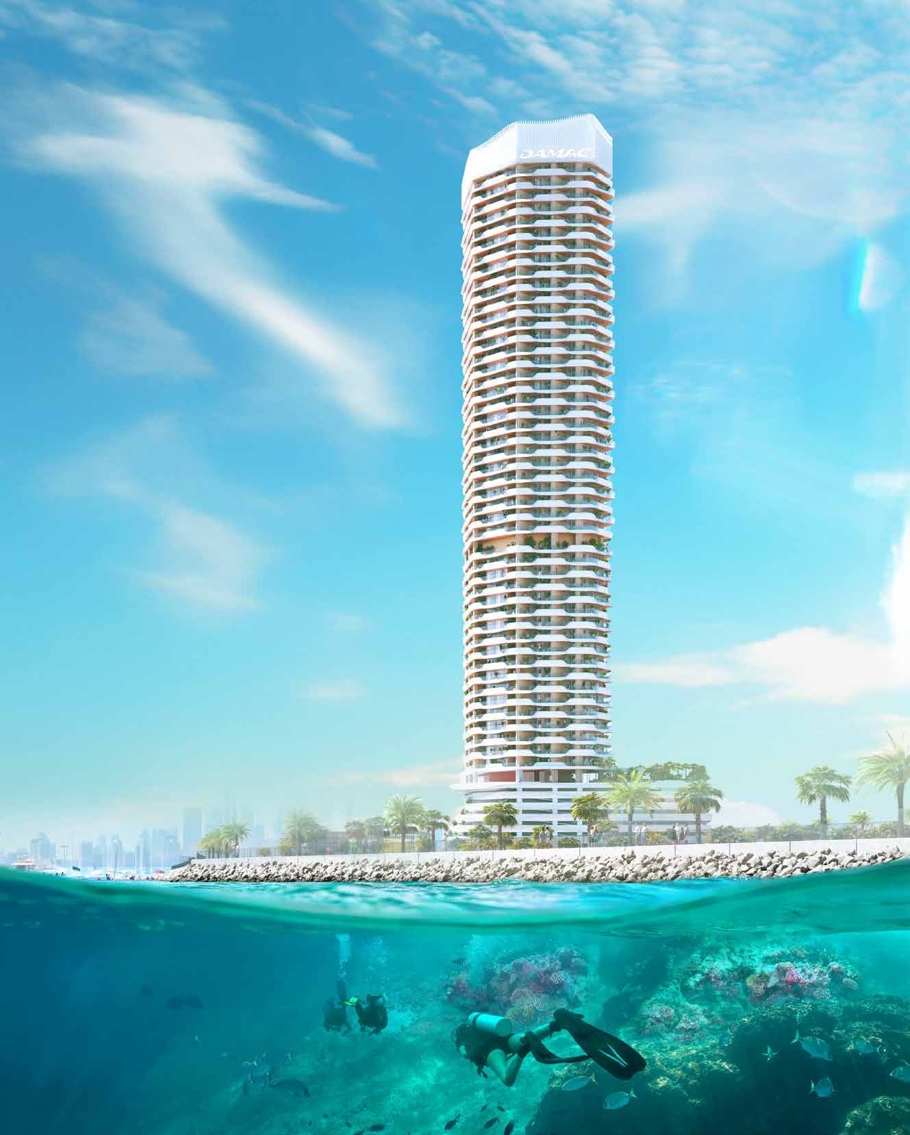 Photograph 7 of 10 of Coral Reef