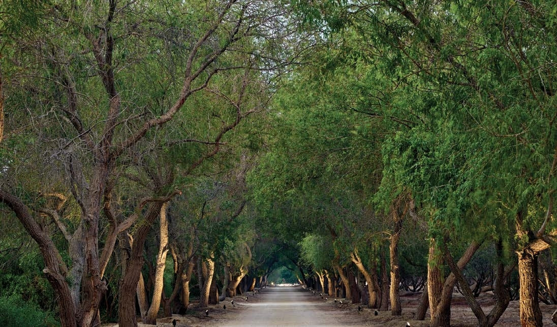Private Community Entrance
