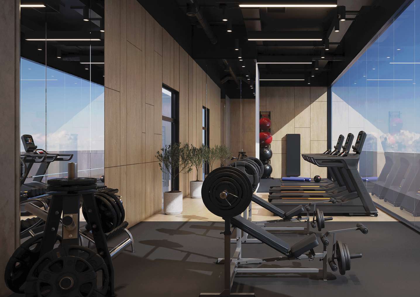 Fitness Club