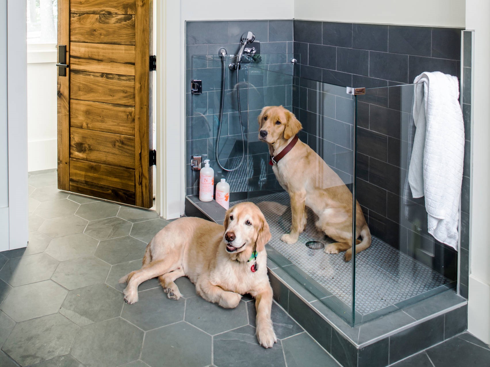 Dog Wash Station