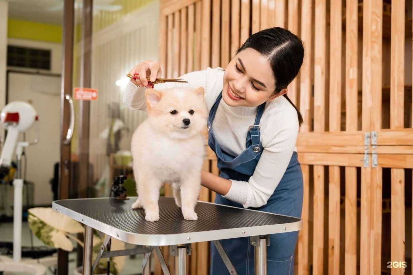 Pet Grooming Spa amenity image at Waldorf Astoria Residences