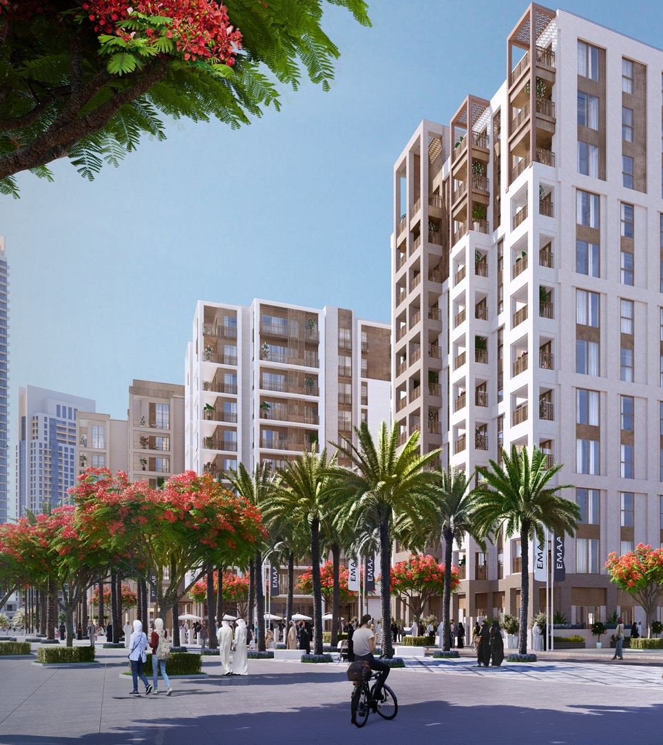 Photograph 5 of 10 of Creek Beach Orchid