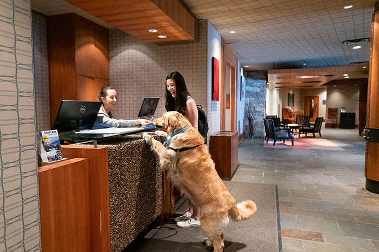 Pet Friendly